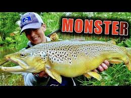 Flyrus now supports arabic, italian, french and spanish localization for all versions of flyme 8a. Big German Trout Global Flyfisher