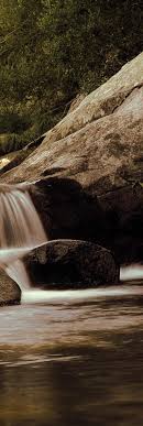 BVCM003375-Memoria de Medio Ambiente 2008-2009