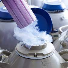 Single Women Are Paying Thousands To Freeze Their Eggs But At What Cost Reproduction The Guardian