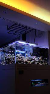 Possibly My Favorite Setup Of All Time Sps Main Display Tank With 2 Lps Display Refugiums Amazing Marine Aquarium Reef Aquarium Saltwater Aquarium