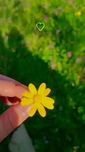 David Lojano (lojanodavid031)