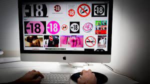 Accès des mineurs à la pornographie : Cest un véritable enjeu de santé  publique, car cela devient leur éducation sexuelle, alerte une spécialiste