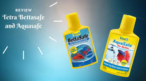 Aquarium small betta tetra fish catching 3d shrimp round a8r1 h3e5 squ net w5e2. Tetra Bettasafe Vs Aquasafe For Bettas Water Conditioner A2 About Anything Youtube