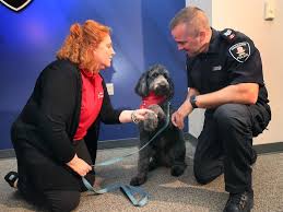 Therapy dogs to comfort Windsor police officers