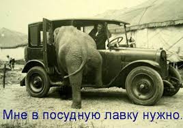 Конгресс США не поддержит сокращение финансовой помощи Украине, - сенатор Шахин - Цензор.НЕТ 9599
