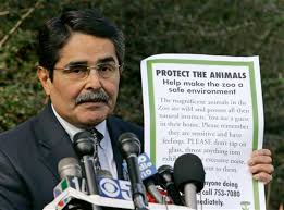 Zoo director feels the heat after tiger attack