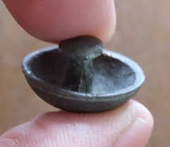 Image result for puklice