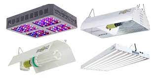 Maybe you would like to learn more about one of these? Best Grow Lights For Sun Loving Plants You Had Me At Gardening