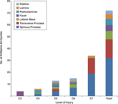 Image result for Subaxial Injury Classification Scale