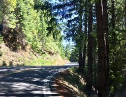 Lose yourself under giant redwoods. Standish Hickey State Recreation Area 7 Picture Of Standish Hickey State Recreation Area Leggett Tripadvisor