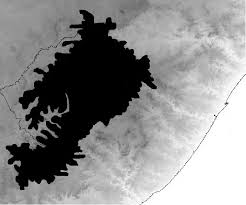 Image result for Ophrestia radicosa