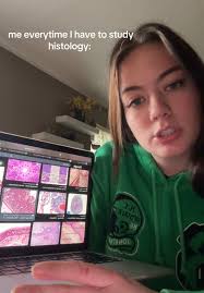 Understanding Histology Through Blurry Visuals