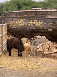 It is nestled along the west side dolores it's great fun, with tours of many inns in carmel, including a commemorative wine glass, wine and food from some of the area restaurants. Facebook