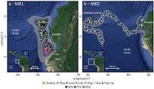 Horizontal tracking information from two oceanic manta rays tagged ...