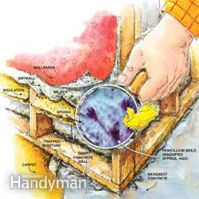 If you have a finished basement, mold will attach itself to the front and back sides of wallboard, carpeting and hard surface flooring, wood, ceiling tiles and even the fabric on furniture or. How To Get Rid Of Mildew And Mold Diy Family Handyman