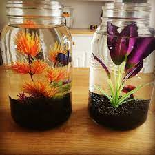 Beta Fish Bowl Ideas Gal Size Mason Jars Fish Tank Beta Fish Betta Fish Tank