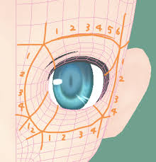 mmd ひたすらにがもん式アリスの顔のポリ割りを眺める 第二回 mmd用モデリングについて覚書 ブロマガ モデリング 3d キャラクター 三面図