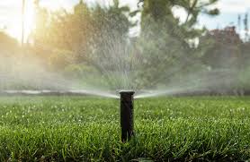 You can do your part to manage water usage, and keep your lawn. How To Water Law Best Lawn Watering Tips Absolute Lawn Pros