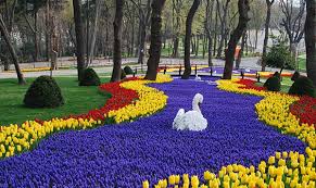 Explore turki di musim dingin membeku tempat indah di turki yang wajib kamu kunjungi. Bunga Tulip Berasal Dari Turki Apa Belanda