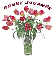 Image result for manga bonne journee
