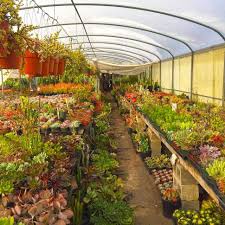 79,111 jobs available in san fernando valley, ca on indeed.com. I Visited An Amazing Cactus Nursery Boing Boing