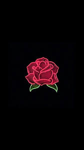 Iphone X Wallpaper Hd 1080p Flower Tecnologist Papeis De Parede Papel De Parede Tumblr Imagem De Fundo Para Iphone