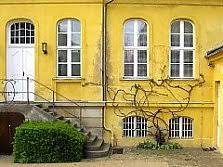 Die pflege im ersten jahr. Rebschnitt Schnitt Weinreben Schnittanleitung Fur Rebschnitt