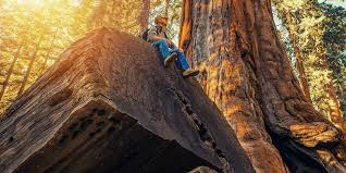 Located in the heart of los angeles, nearly 40% of west hollywood's population identifies as lgbtq. U S West Coast Highlights And National Parks Of The Pacific Hurtigruten Expeditions