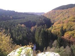 Alleinstehendes Ferienhaus Mit Grossem Garten Am Waldrand Ferienhaus Margarete In Monschau Widdau Ferien Ferienhaus Urlaub