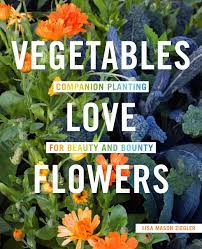 Flowering vegetables are so called because they have the shape of flowers. Vegetables Love Flowers Companion Planting For Beauty And Bounty Ziegler Lisa Mason 9780760357583 Books Amazon Ca