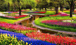 April 3, 2021april 3, 2021. Keukenhof O Fhmismenos Khpos Ths Eyrwphs Sthn Ollandia Poy Gemizei Me Toylipes