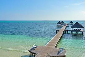 Book Melia Cayo Guillermo Cayo Guillermo On Tripadvisor See 2 525 Traveler Trip Advisor Hotel Photo