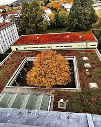 Andlau haus (freiburg im breisgau) jm6626.jpg. St Alban Haus Beitrage Facebook