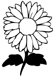 Yellow daisy flower illustration, common daisy transvaal daisy flower , margarita transparent background png clipart. Free Daisy Flower 1190091 Png With Transparent Background