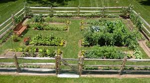 Vegetable Gardens R Us Bed Construction We Will Design And Build A Vegetable Garden For Yo Fenced Vegetable Garden Backyard Vegetable Gardens Garden Layout