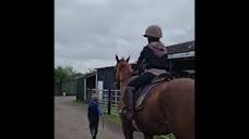 Midlands Racehorse Rehabilitation