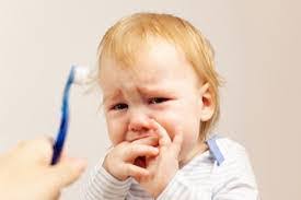 Amanda Hegel's Instagram, Twitter & Facebook