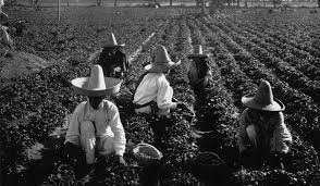 El derecho agrario mexicano y la Constituci&oacute;n de 1917