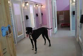 • san marcos, ca 92078 • 760.744.5400 Santa Fe Pet Hospital Boarding Petslover