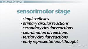 piagets sensorimotor stage of development definition