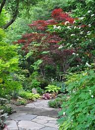 Three Dogs In A Garden Japanese Maples Japanese Maple Tree Landscape Japanese Garden Backyard Japanese Garden Landscape