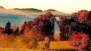 Discover the ultimate collection of the top 31 8k nature wallpapers and photos available for download for free. Windows 10 Nature Landscape Wallpaper 09 Red Leafed Tree Hd Wallpaper Wallpaperbetter
