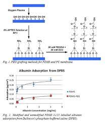 The conjugation of peg to free amino groups on al was confirmed by gel permeation chromatography. One Of Peg Applications Surface Modification Biochempeg