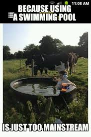 Chillin With The Cows Meme By John14 Memedroid