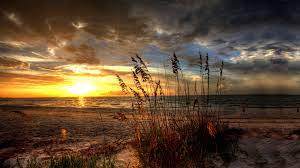 Check spelling or type a new query. Cool Witzig Knuddelig Praktisch Oder Einfach Nur Inspirierend Sunset Sunset Wallpaper Sunset Photos