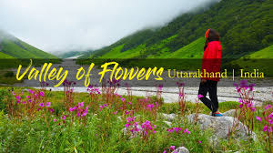 We did not find results for: Valley Of Flowers Uttarakhand Youtube
