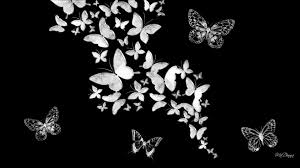Black And White Butterfly Wallpaper Select from premium butterfly of the highest quality. black and white butterfly wallpaper