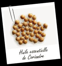 Huile Essentielle Coriandre Aroma Zone Huiles Essentielles Guide Huiles Essentielles Naturotherapie