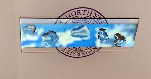 Check spelling or type a new query. Run Saltwater Over This Nanofilm To Make Electricity Technology
