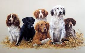 Artist James Killen Unframed Hunting Dog Print Class Reunion Dog Art Dog Paintings Dog Print Art